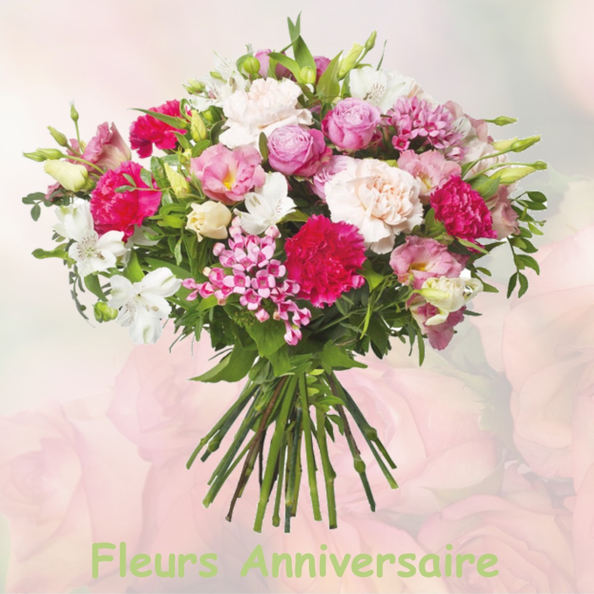 fleurs anniversaire VERS-PONT-DU-GARD
